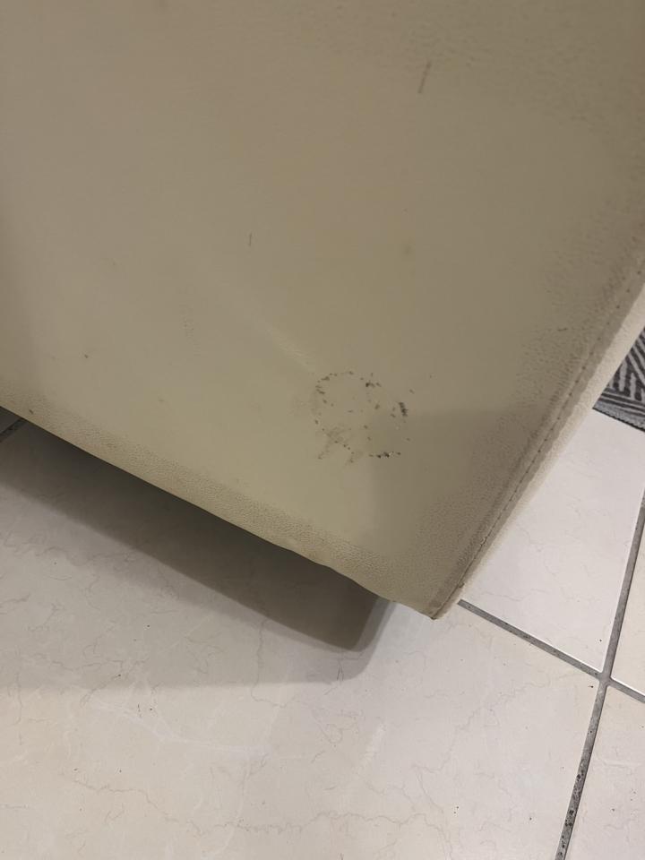 沙發修理案件圖片