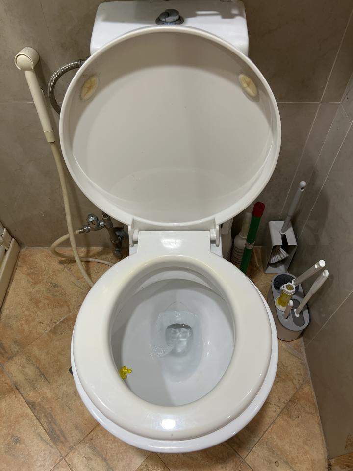 馬桶裝修案件圖片