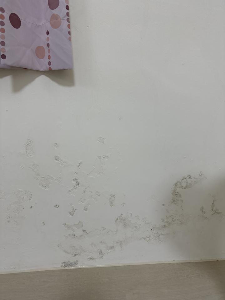 壁癌處理案件圖片