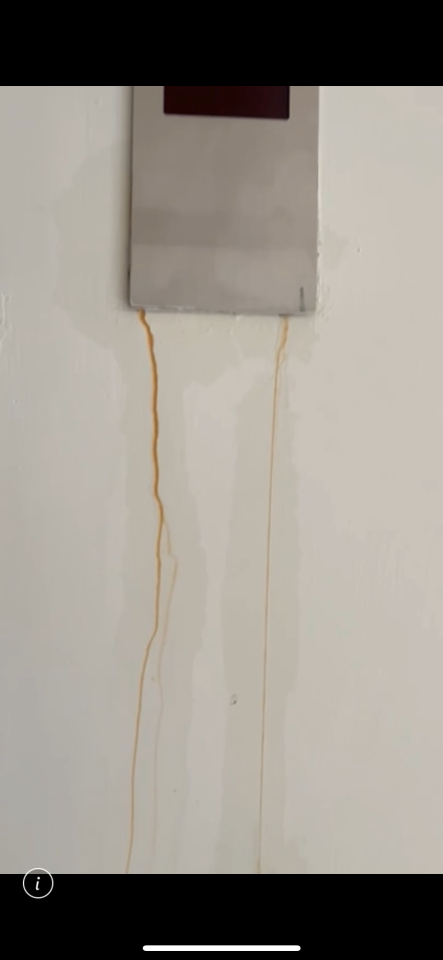 泥作/水泥施工案件圖片