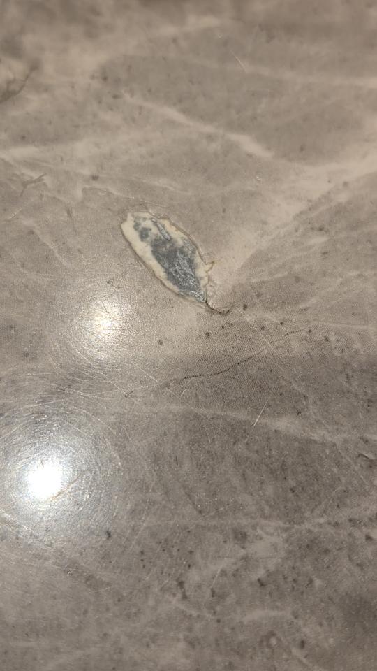 磁磚修補案件圖片