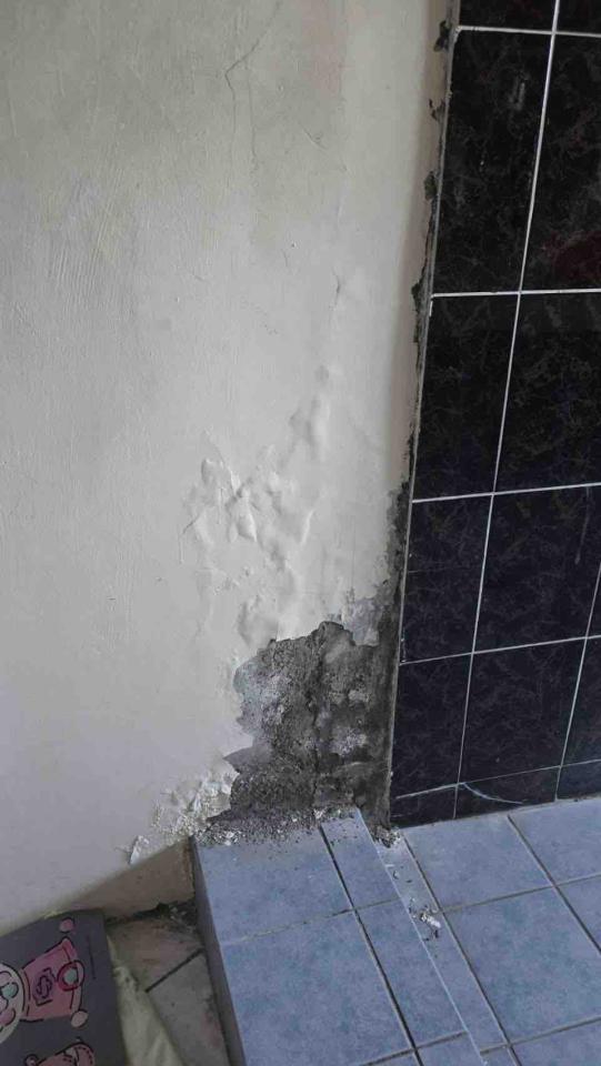 壁癌處理案件圖片