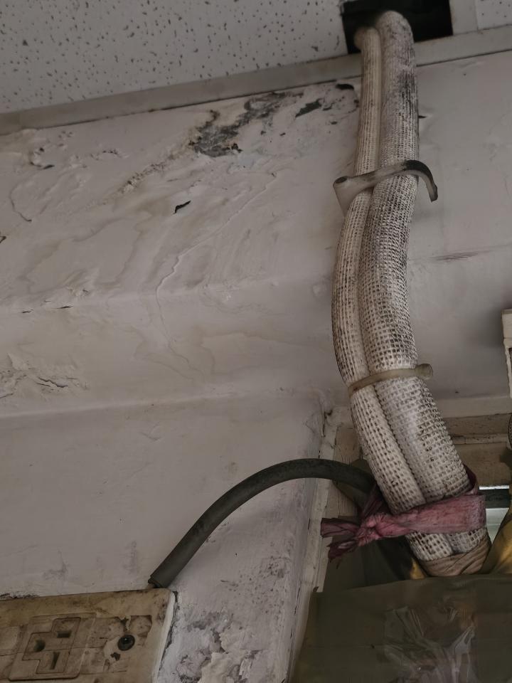 壁癌處理案件圖片