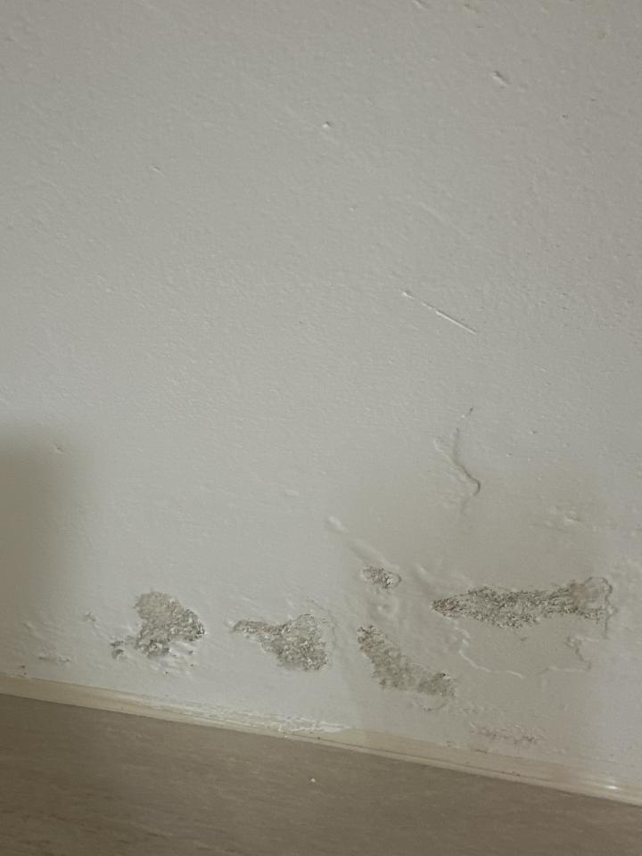 壁癌處理案件圖片