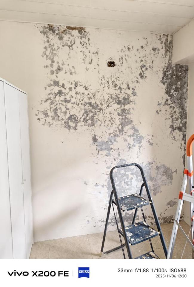 壁癌處理案件圖片