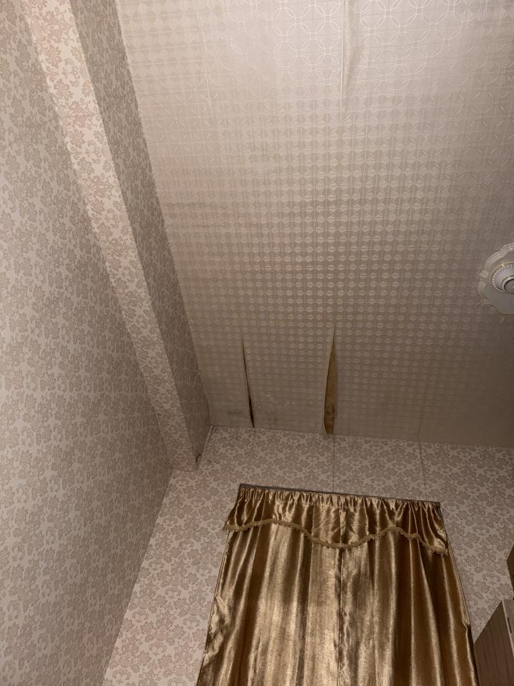 壁紙施工案件圖片