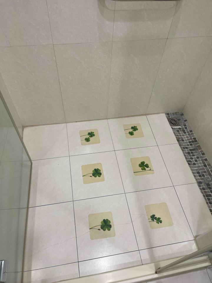 浴室翻新案件圖片