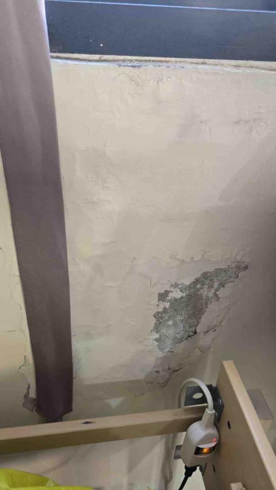 壁癌處理案件圖片