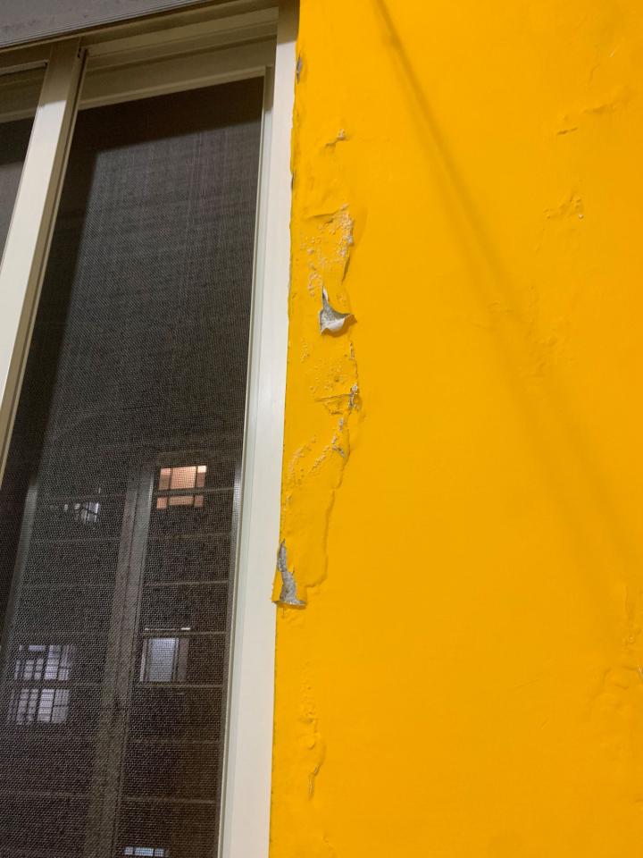 壁癌處理案件圖片