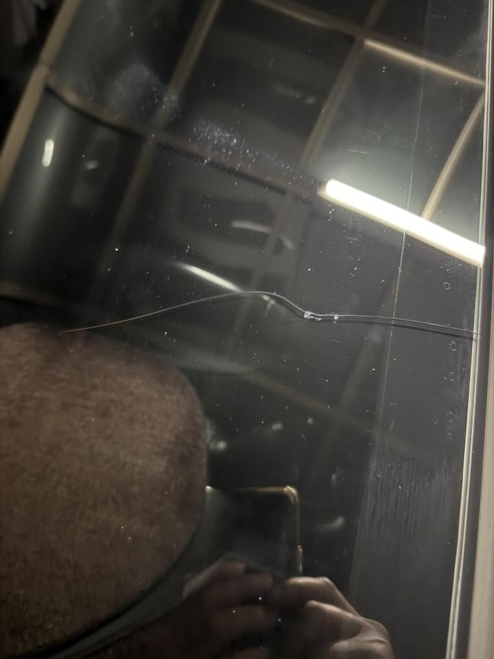 汽車玻璃修補案件圖片