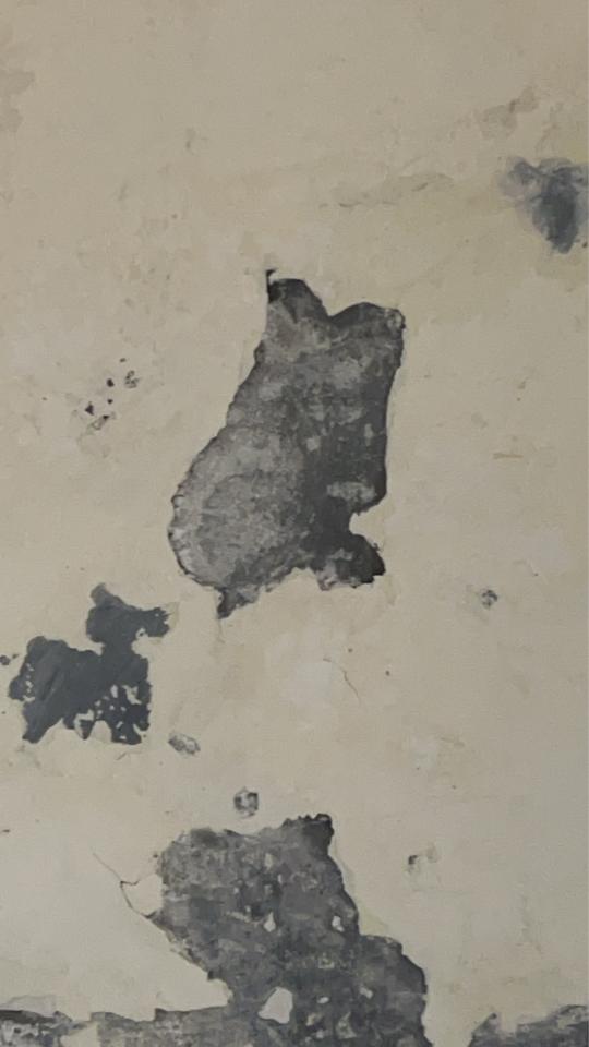 壁癌處理案件圖片