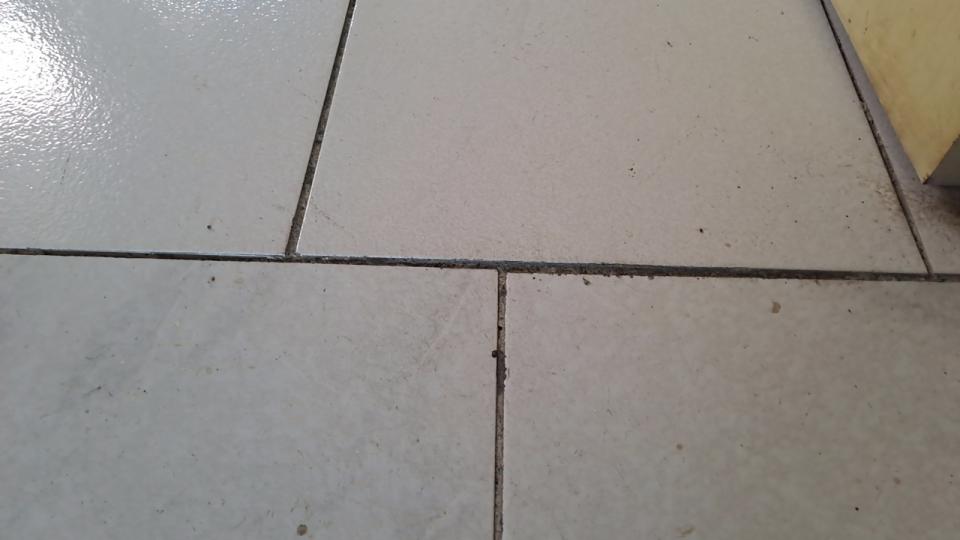 拆除工程案件圖片