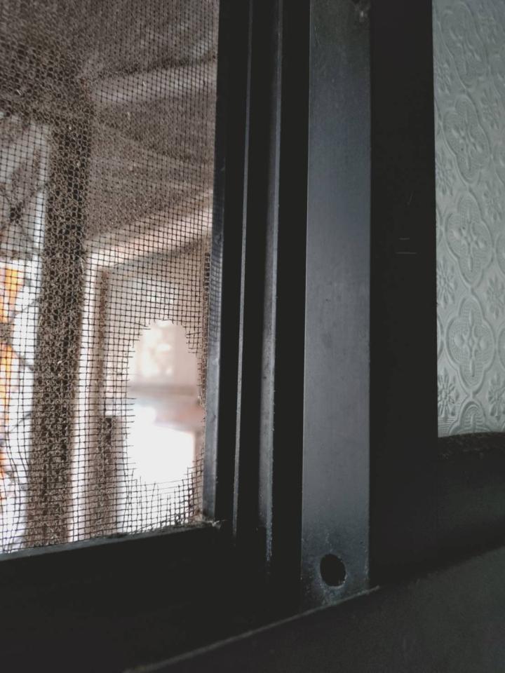 紗窗裝修案件圖片