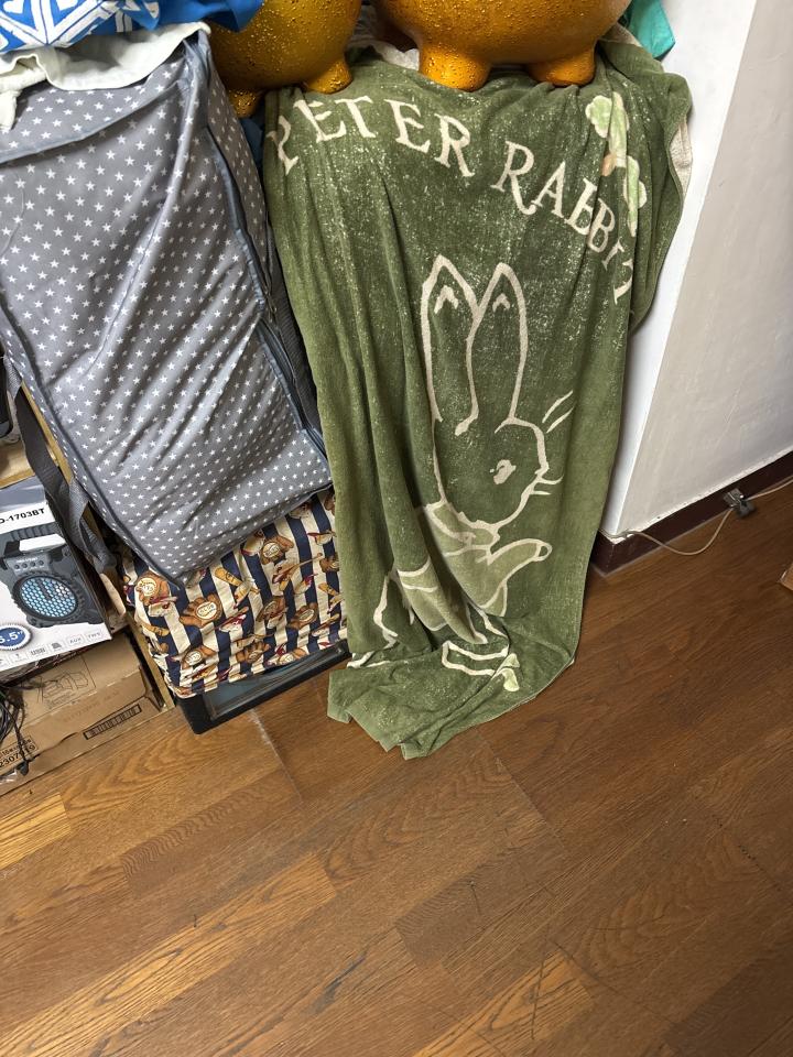 大型垃圾回收案件圖片