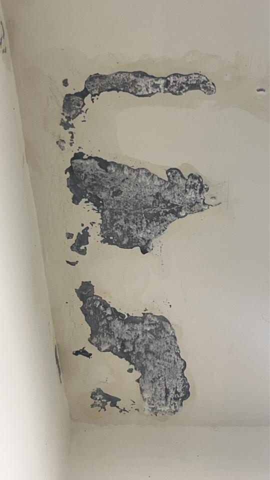 壁癌處理案件圖片