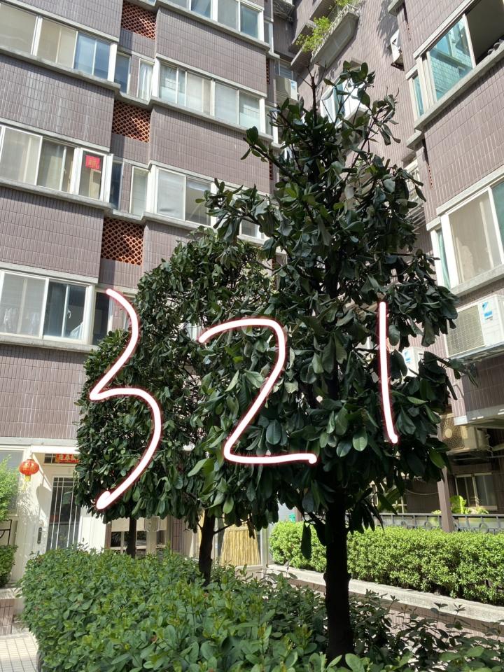 植物診療師案件圖片