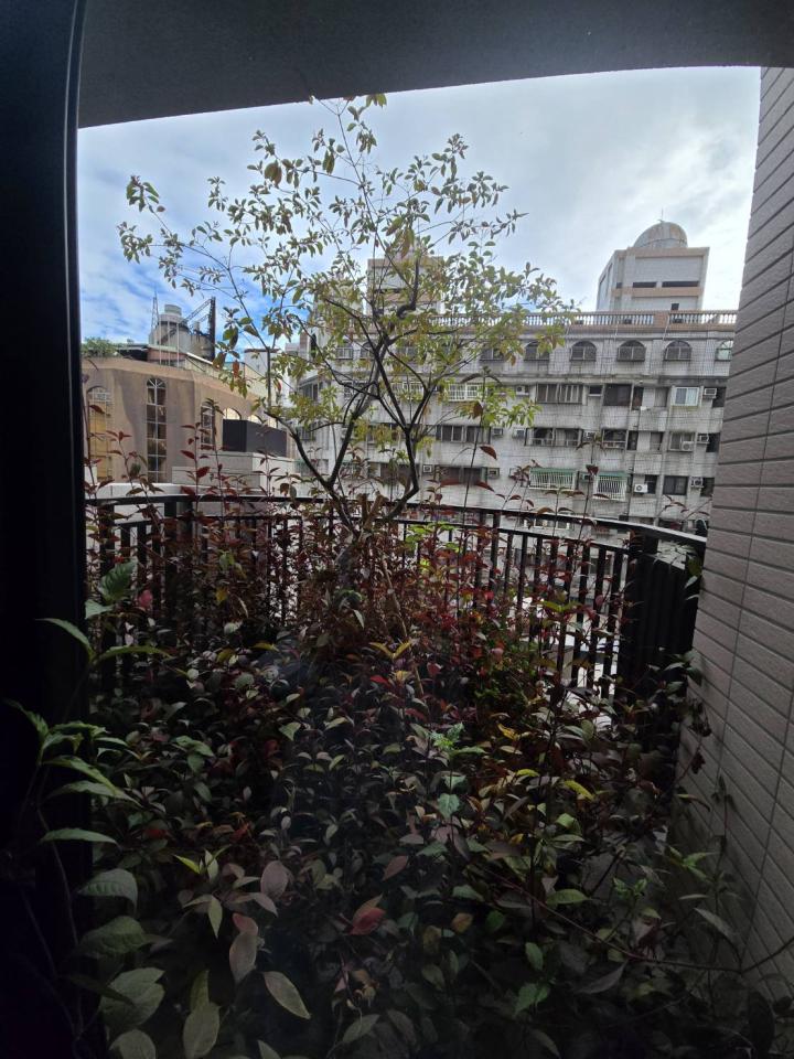 園藝維護案件圖片