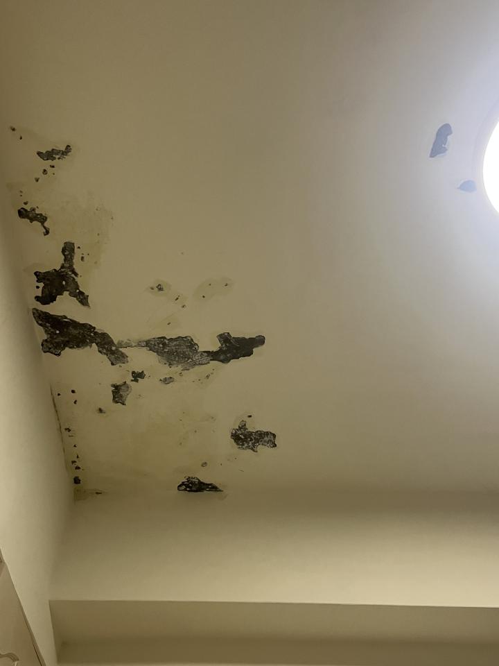 壁癌處理案件圖片