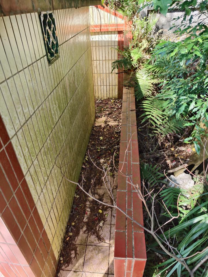 園藝維護案件圖片