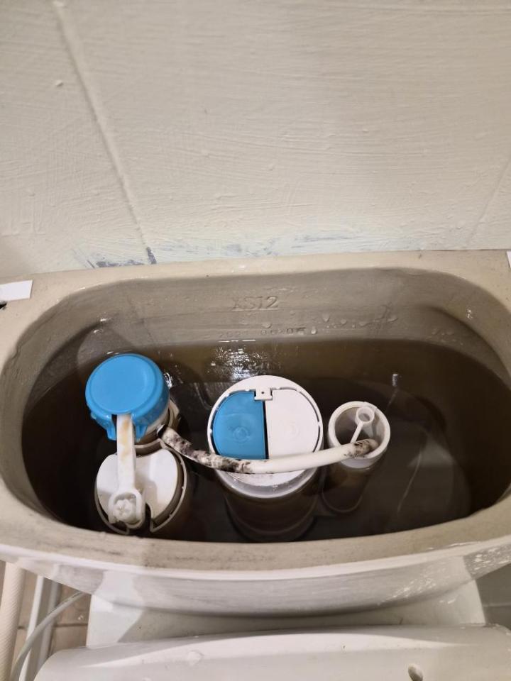 馬桶裝修案件圖片