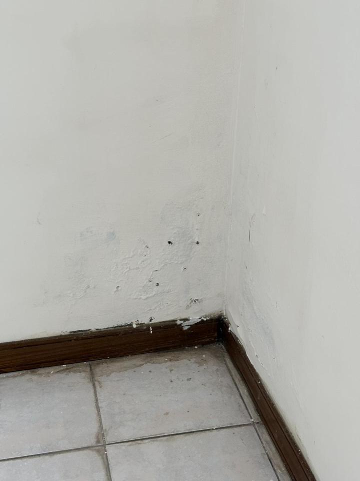 漏水處理案件圖片