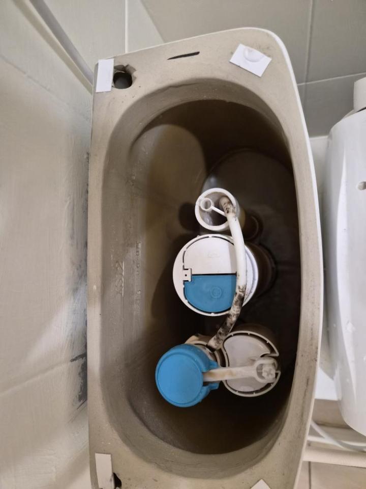 馬桶裝修案件圖片