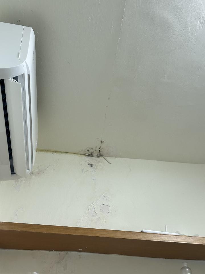 壁癌處理案件圖片