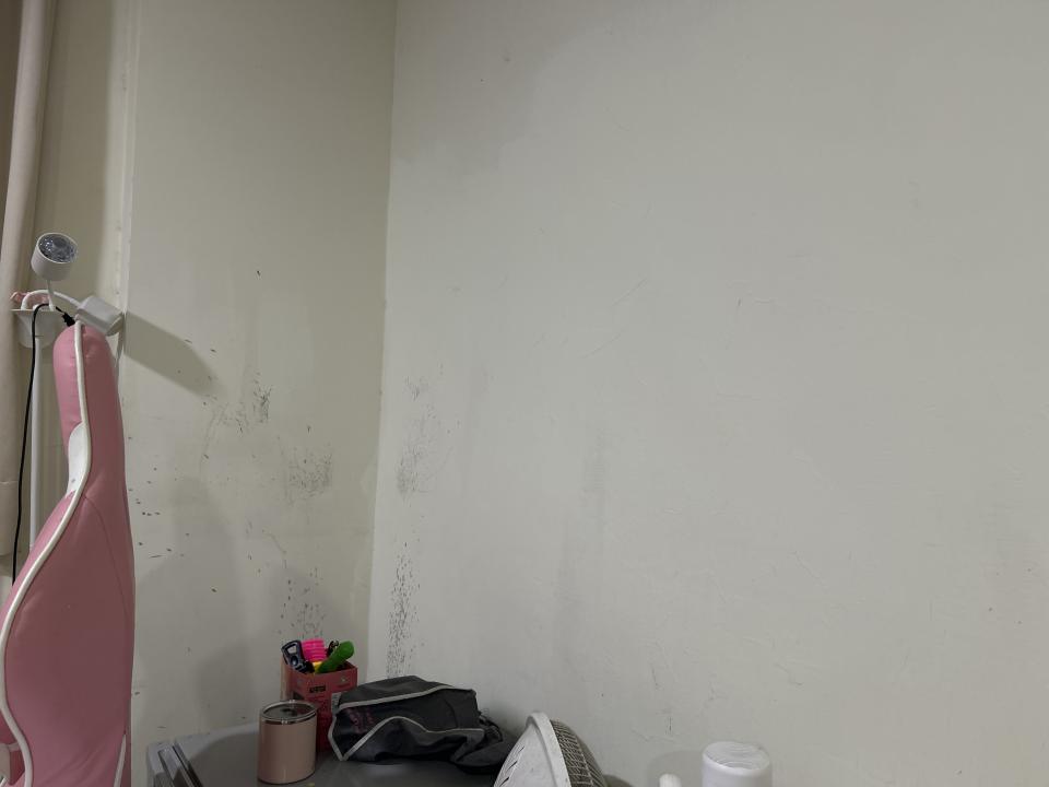 油漆工程案件圖片