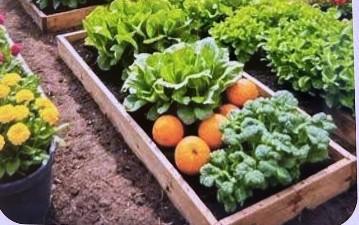 木工施工案件圖片