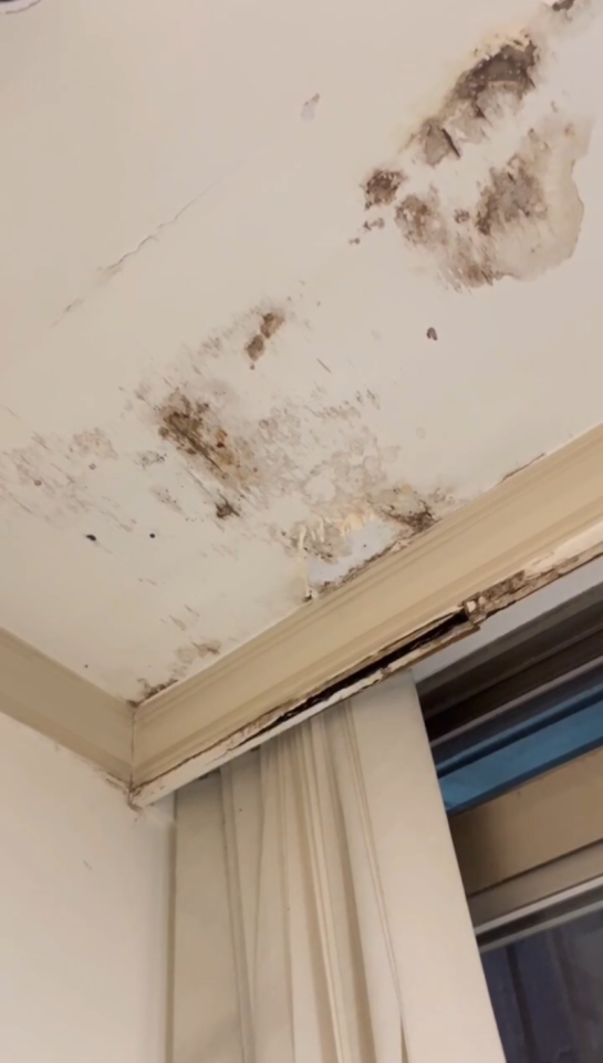 漏水處理案件圖片