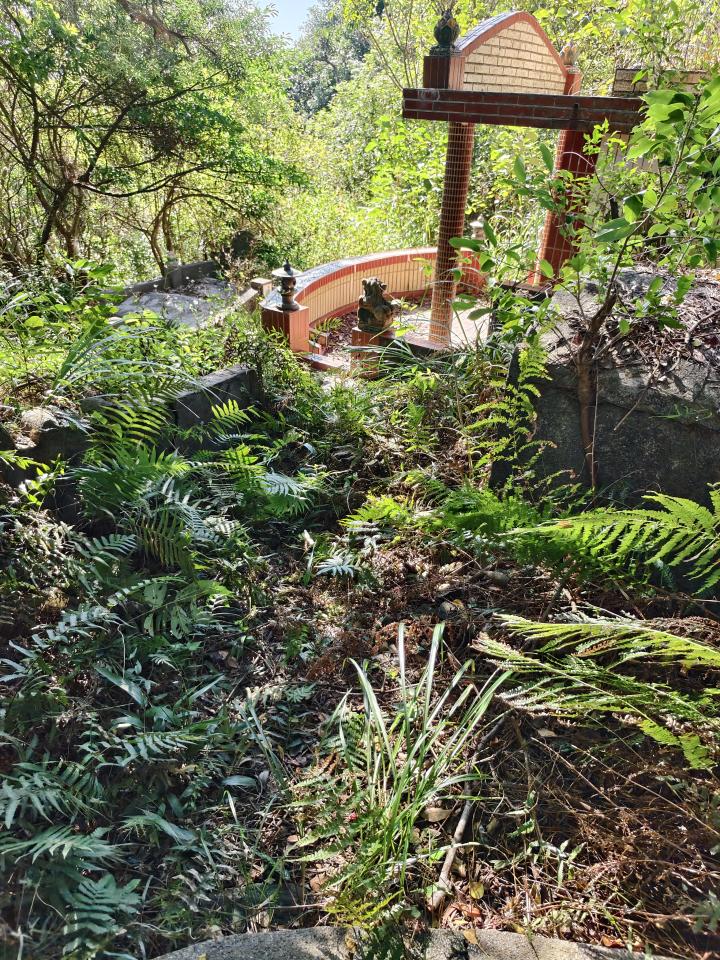 園藝維護案件圖片