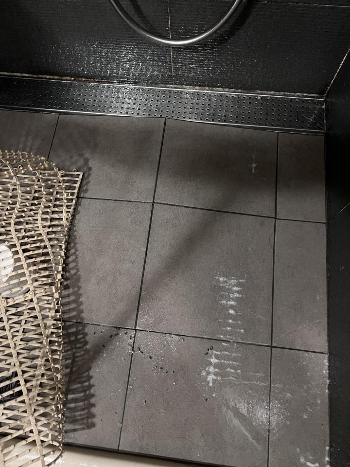 磁磚修補案件圖片