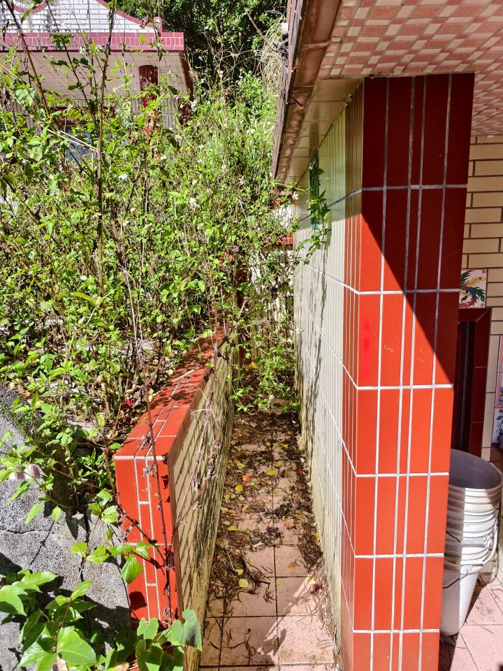 園藝維護案件圖片