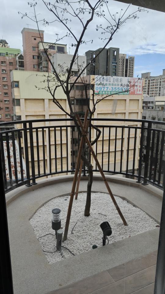 園藝維護案件圖片