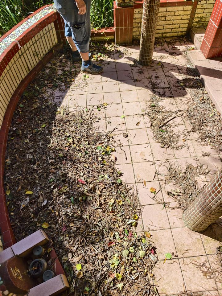 園藝維護案件圖片