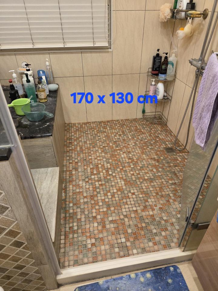 浴室翻新案件圖片