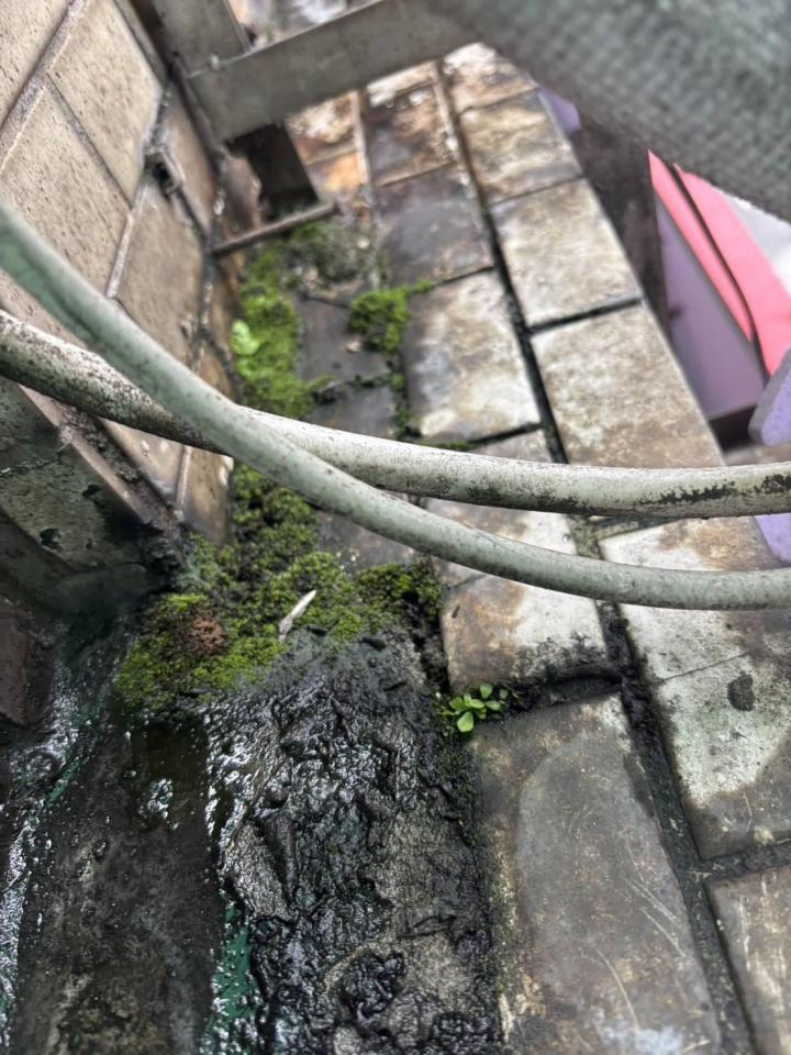 漏水處理案件圖片