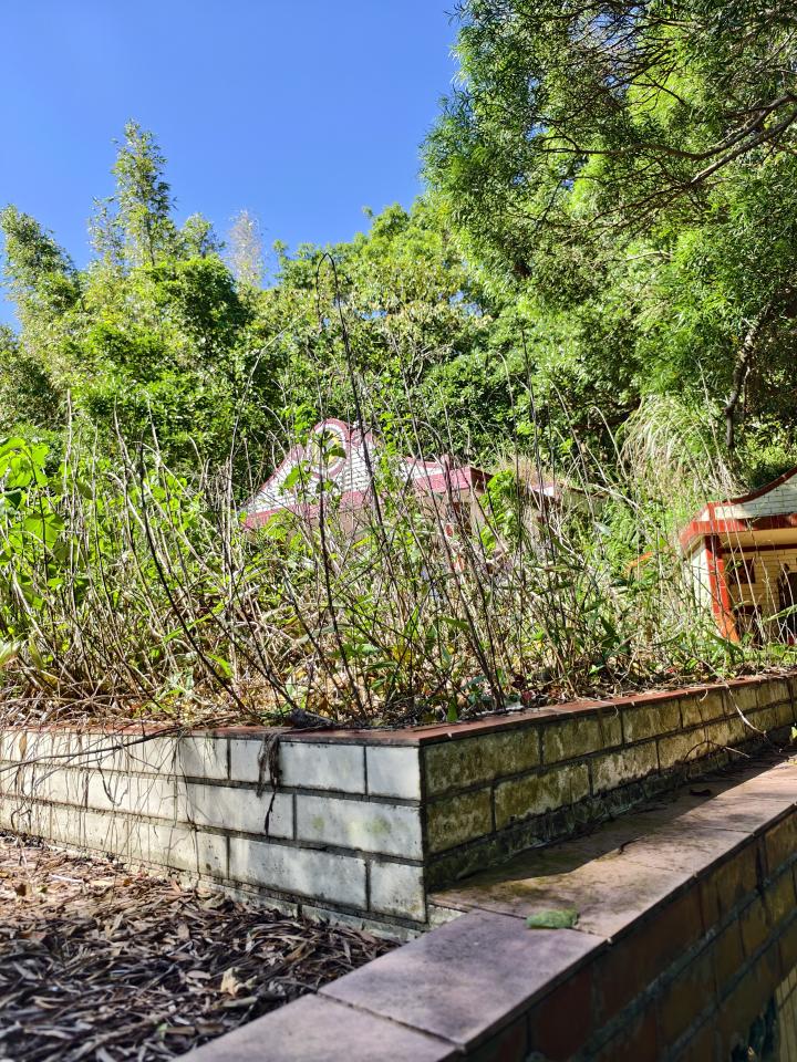 園藝維護案件圖片