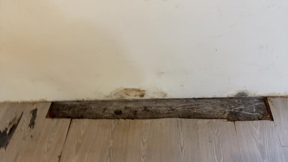 馬桶裝修案件圖片