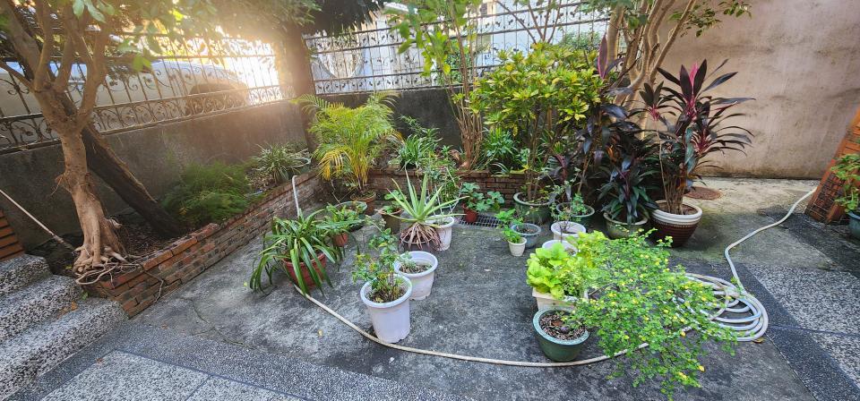 花園自動灑水系統案件圖片