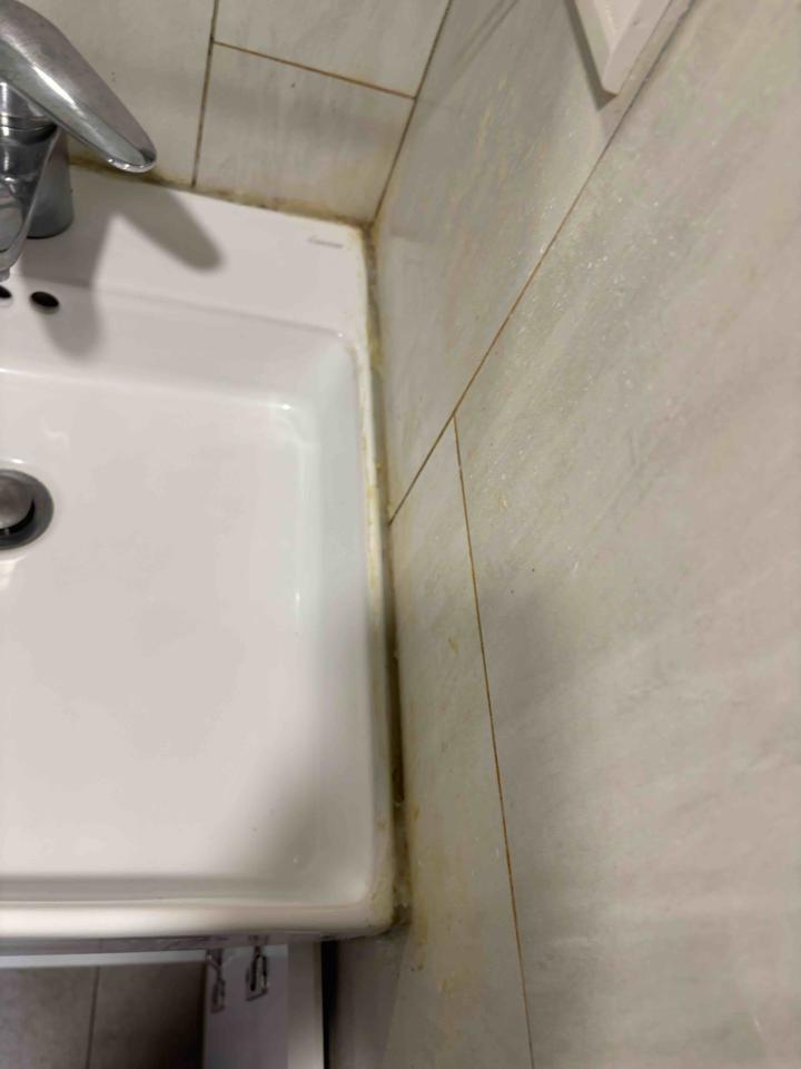 洗臉盆裝修案件圖片