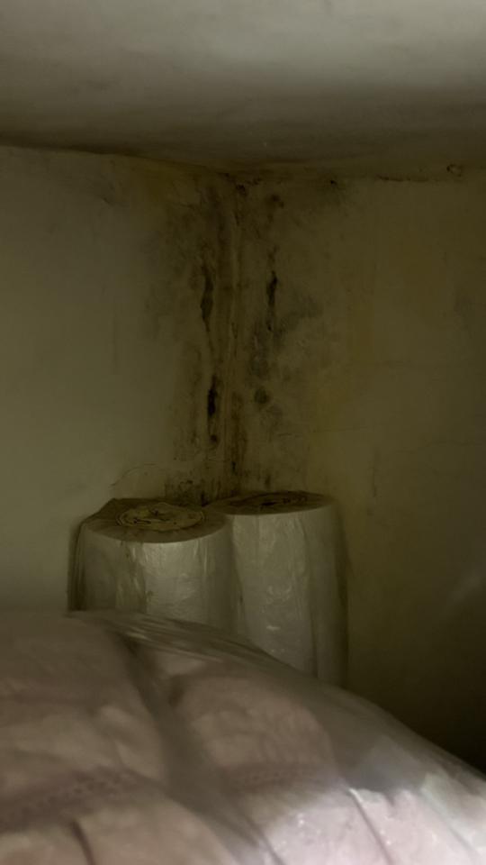 漏水鑑定案件圖片