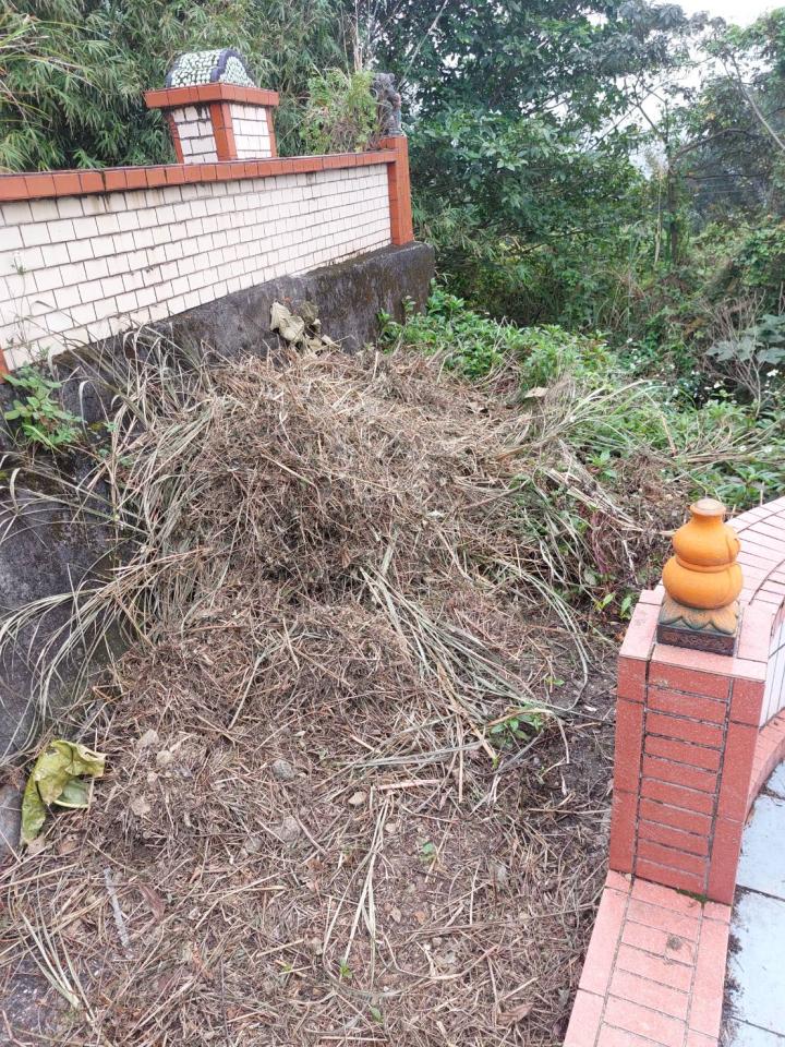 園藝維護案件圖片