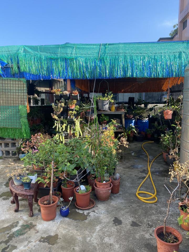 屋頂防水案件圖片