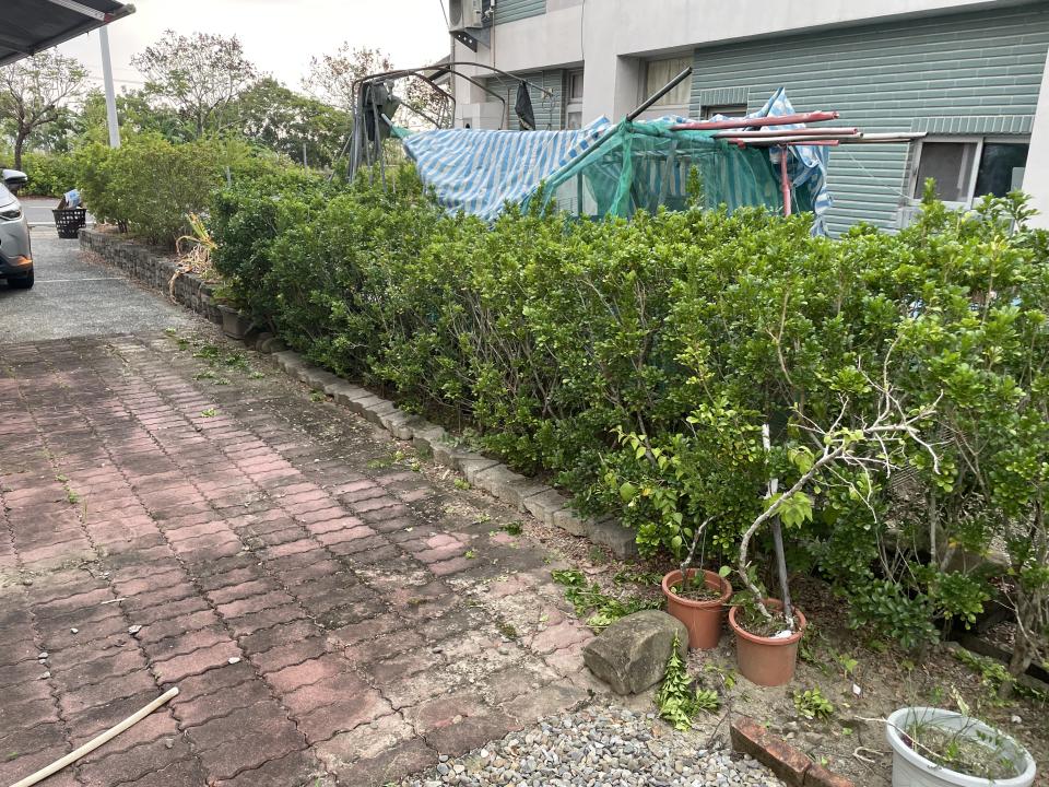 園藝維護案件圖片