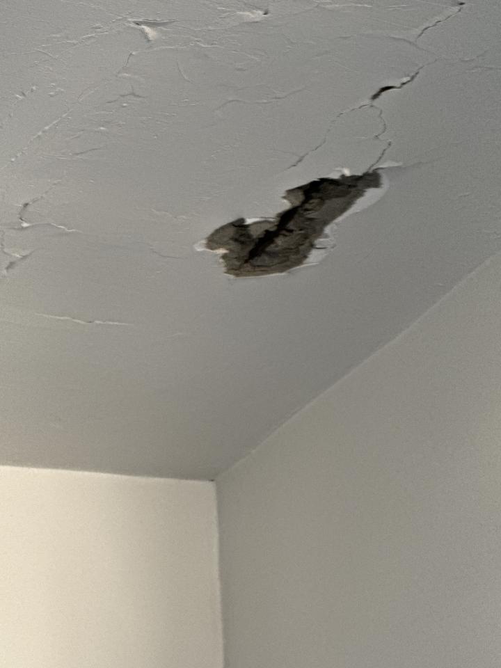 鋼筋外露處理案件圖片