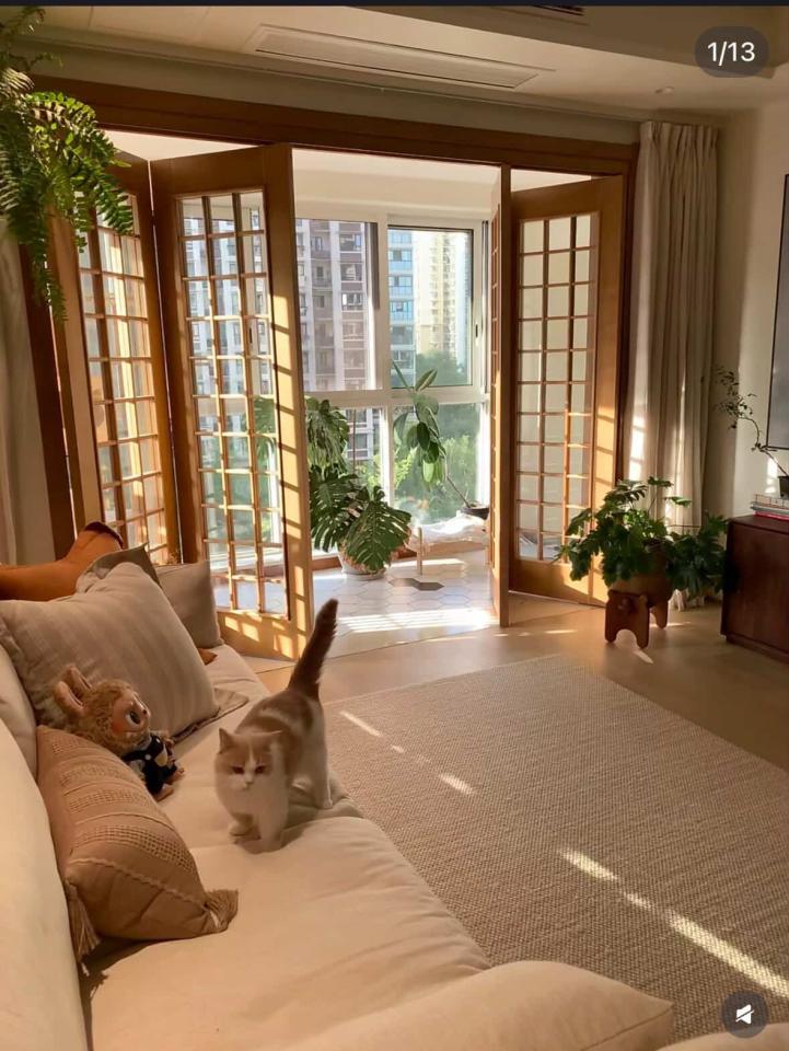 室內裝潢案件圖片