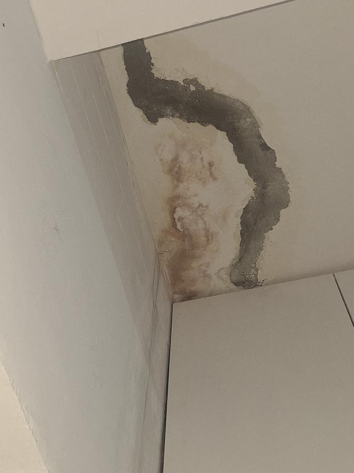 漏水處理案件圖片