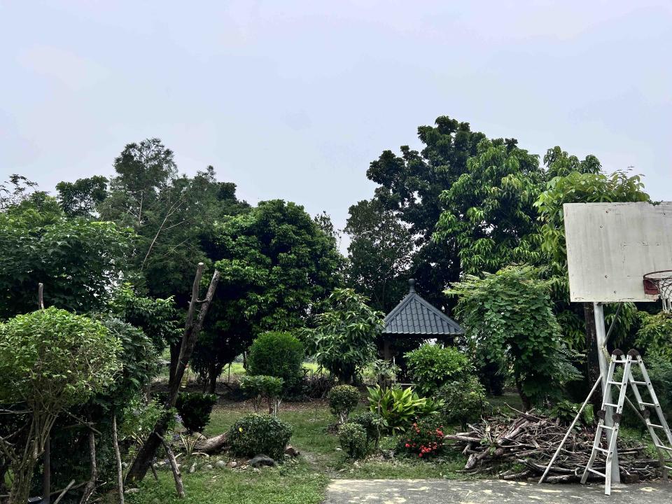 園藝維護案件圖片