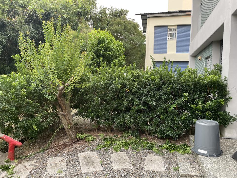 園藝維護案件圖片